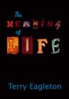 Image for The meaning of life