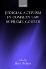 Image for Judicial Activism in Common Law Supreme Courts