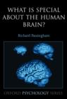 Image for What is special about the human brain?