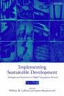 Image for Implementing sustainable development  : strategies and initiatives in high consumption societies