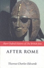 Image for After Rome