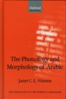 Image for The Phonology and Morphology of Arabic