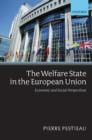 Image for The welfare state in the European Union  : economic and social perspectives