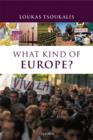 Image for What Kind of Europe?