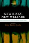 Image for New Risks, New Welfare