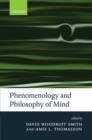 Image for Phenomenology and Philosophy of Mind