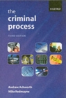 Image for The Criminal Process