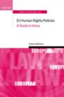 Image for EU human rights policies  : a study in irony