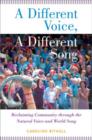 Image for A different voice, a different song  : reclaiming community through the natural voice and world song
