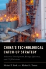 Image for China&#39;s technological catch-up strategy: industrial development, energy efficiency, and CO2 emissions