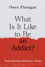 Image for What is it like to be an addict?  : understanding substance abuse