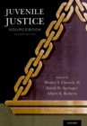 Image for Juvenile justice sourcebook: past, present and future