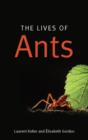 Image for The Lives of Ants