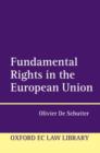Image for Fundamental Rights in the European Union