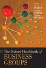 Image for The Oxford Handbook of Business Groups