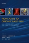 Image for From acute to chronic back pain  : risk factors, mechanisms, and clinical implications