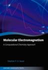 Image for Molecular Electromagnetism: A Computational Chemistry Approach