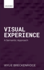 Image for Visual experience  : a semantic approach