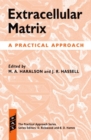 Image for Extracellular Matrix : A Practical Approach