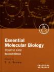 Image for Essential molecular biologyVol. 1: A practical approach