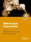 Image for DNA-protein interactions  : a practical approach