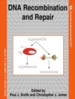 Image for DNA Recombination and Repair