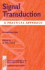 Image for Signal transduction  : a practical approach
