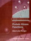Image for Protein Kinase Functions
