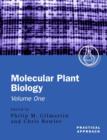 Image for Molecular plant biologyVol. 1