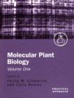 Image for Molecular Plant Biology Volume 1