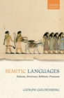 Image for Semitic languages  : features, structures, relations, processes