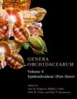 Image for Genera Orchidacearum.Volume 6,: Epidendroideae