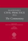Image for Blackstone&#39;s civil practice 2014