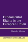 Image for Fundamental rights in the European Union