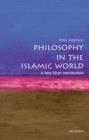 Image for Philosophy in the Islamic world  : a very short introduction