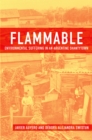 Image for Flammable: environmental suffering in an Argentine shantytown