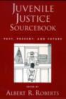 Image for Juvenile Justice Sourcebook: Past, Present and Future