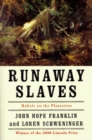 Image for Runaway slaves: rebels on the plantation