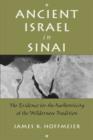 Image for Ancient Israel in Sinai