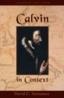 Image for Calvin in context