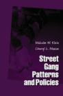 Image for Street Gang Patterns and Policies