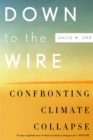 Image for Down to the wire: confronting climate collapse