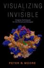 Image for Visualizing the Invisible