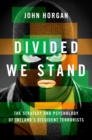 Image for Divided We Stand: The Strategy and Psychology of Ireland&#39;s Dissident Terrorists