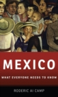 Image for Mexico  : what everyone needs to know