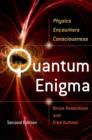 Image for Quantum enigma: physics encounters consciousness