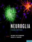 Image for Neuroglia