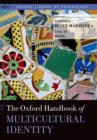 Image for The Oxford handbook of multicultural identity
