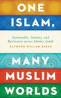 Image for One Islam, many Muslim worlds  : spirituality, identity, and resistance across Islamic lands