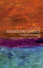Image for Sociolinguistics  : a very short introduction